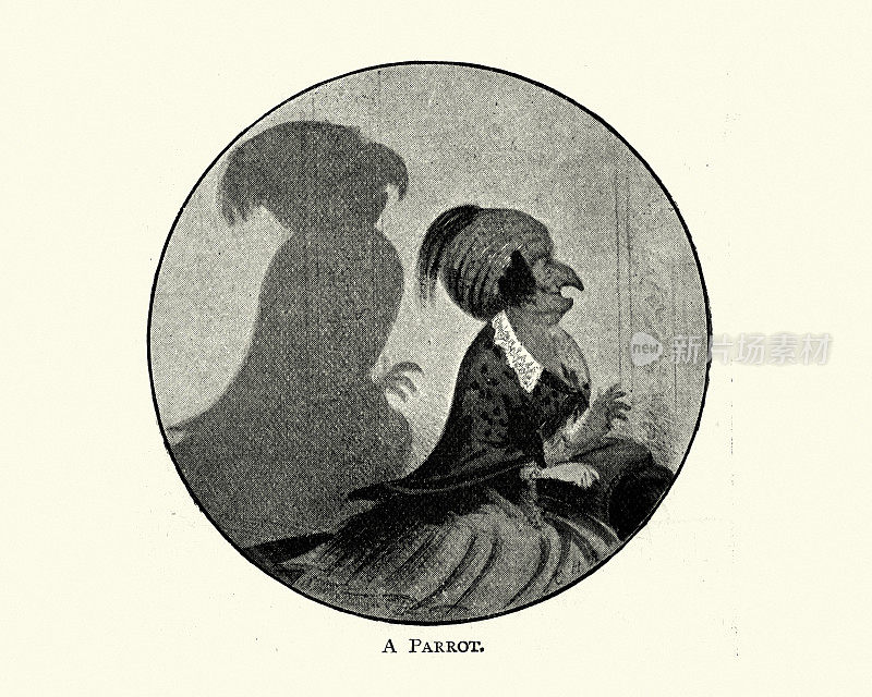 Charles H. Bennett, A Parrot的复古插图阴影